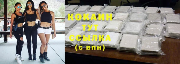 тгк Абаза