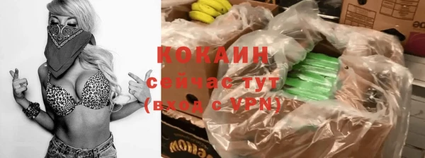 тгк Абаза