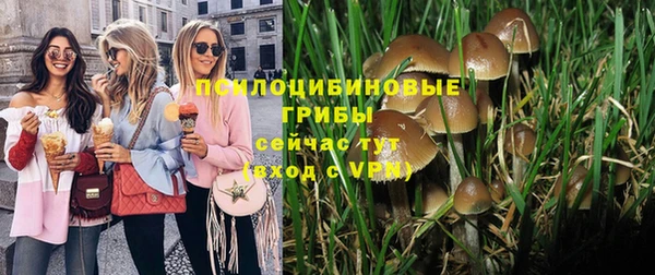 тгк Абаза