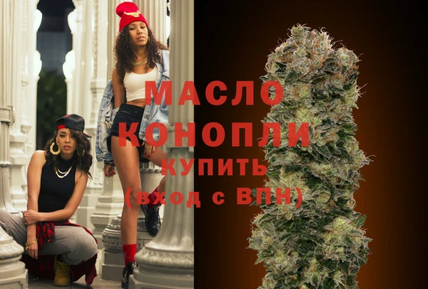 тгк Абаза