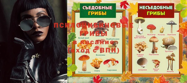 тгк Абаза