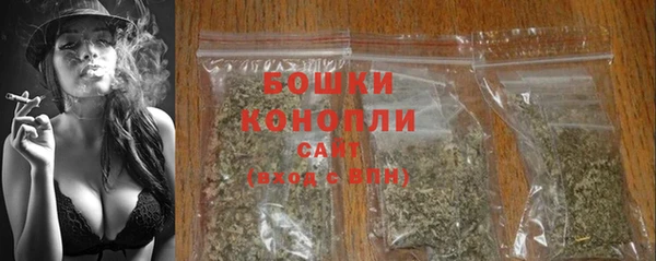 спиды Новозыбков