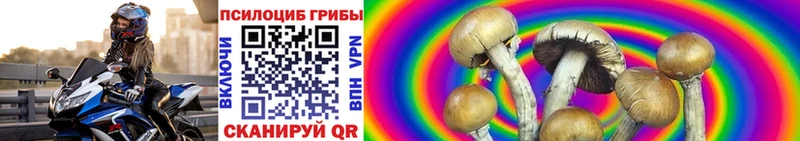 Псилоцибиновые грибы GOLDEN TEACHER  OMG как зайти  Яхрома  дарнет шоп 